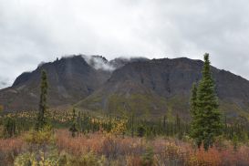 16_Tag_Nabesna10