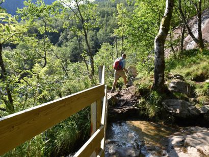 7_Tag_Trail13