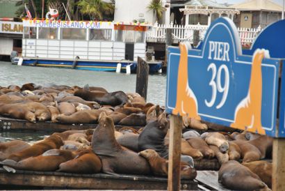 2014Pier39