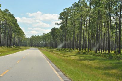 2015str.okefenokee
