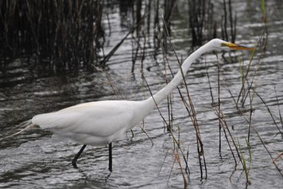 2015greategret