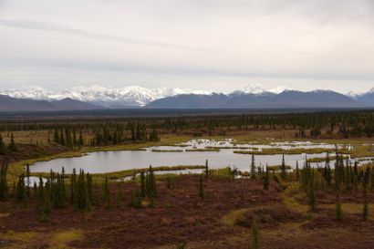 8_Tag_Denali14