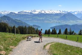 1_Tag_Rigi16