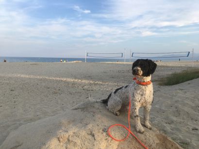 16 Tag Nachmittag3