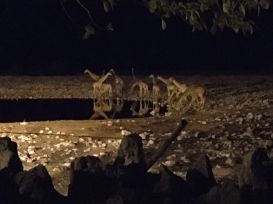 12 Tag Nacht02