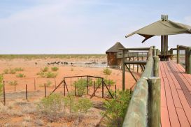 12 Tag Olifant03