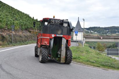 11 Tag Ernte2
