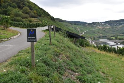 11 Tag Trail06