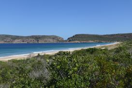 9 Tag Strand02