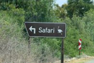 12_Tag_Safari01