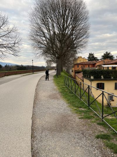 4_Tag_Lucca01