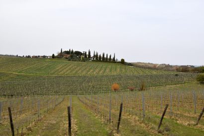 6_Tag_Gimi01