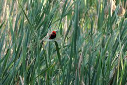 10_Tag_Abend01