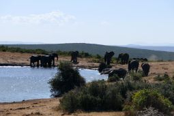 10_Tag_Addo44