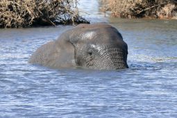 10_Tag_Addo46