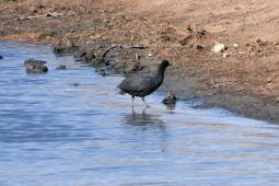 10_Tag_Addo50
