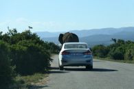 10_Tag_Addo51