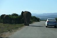 10_Tag_Addo52