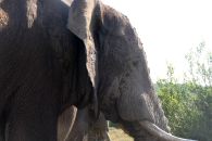 10_Tag_Addo53