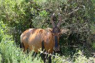 10_Tag_Addo06