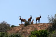 10_Tag_Addo07