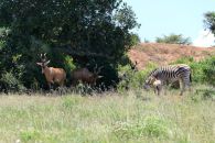 10_Tag_Addo08