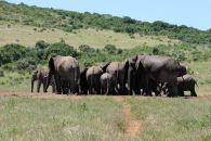10_Tag_Addo10
