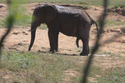 10_Tag_Addo25