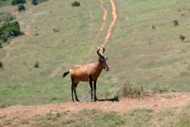 11_Tag_Addo06