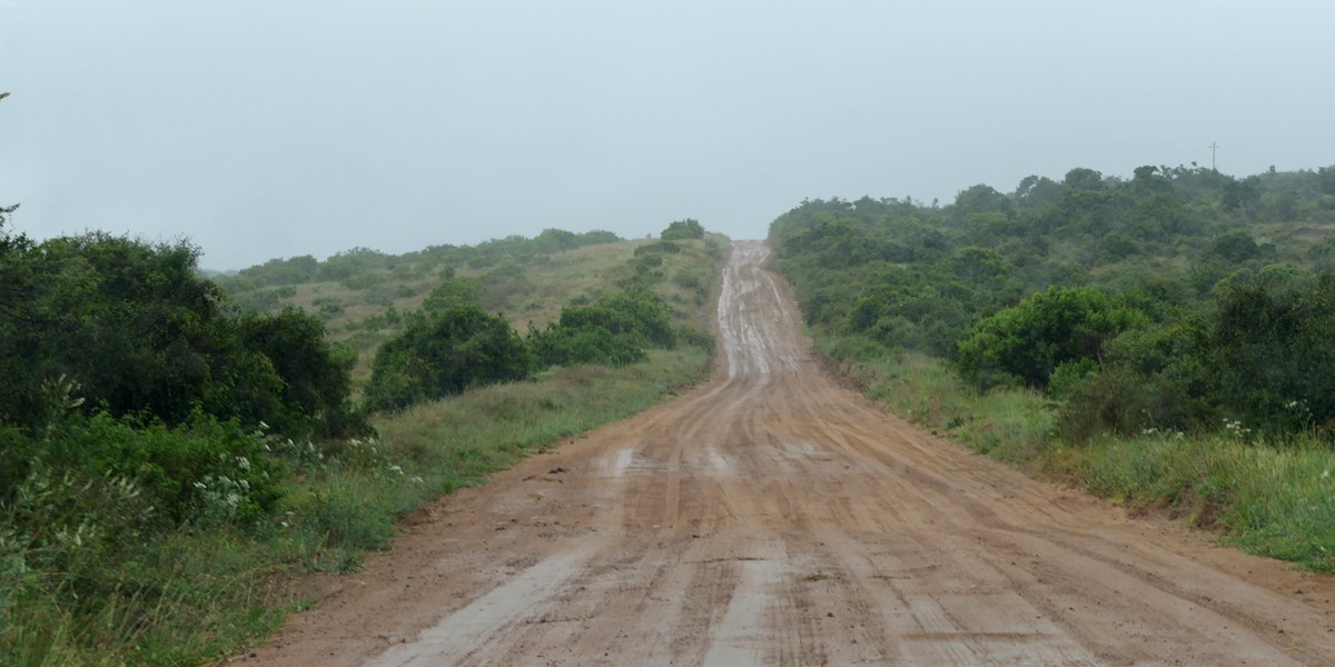 Südafrika 2023