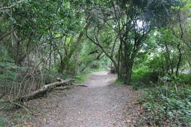 7_Tag_Trail08