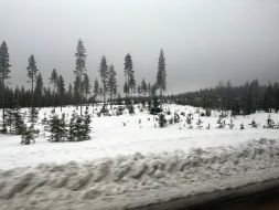 1_Tag_Fahrt01