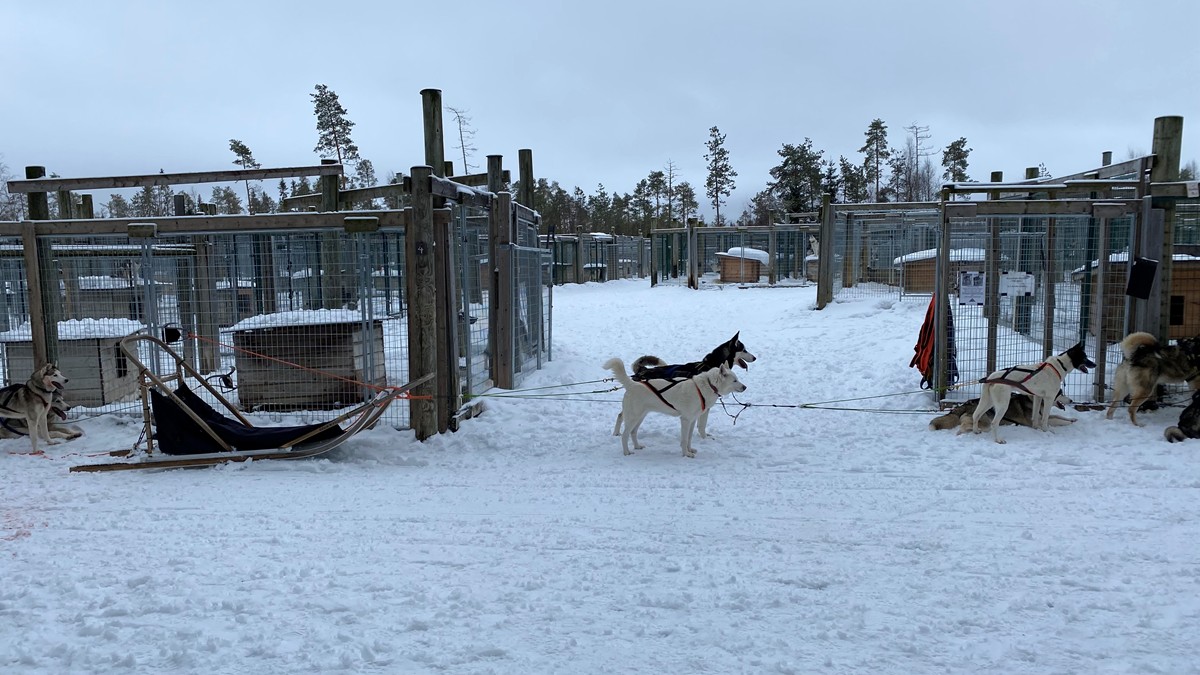 Finnland 2025