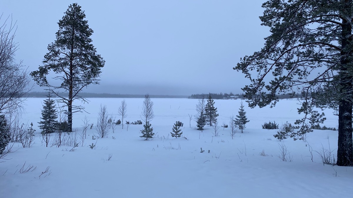 Finnland 2025