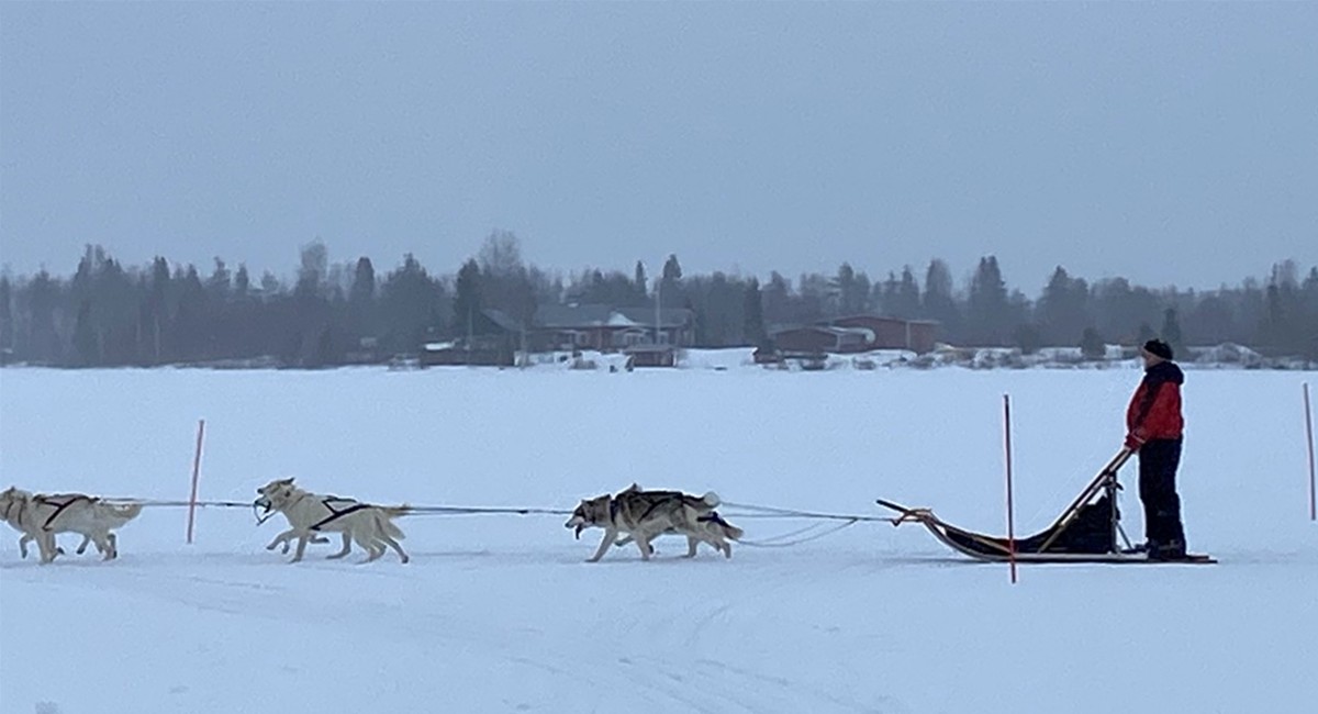 Finnland 2025