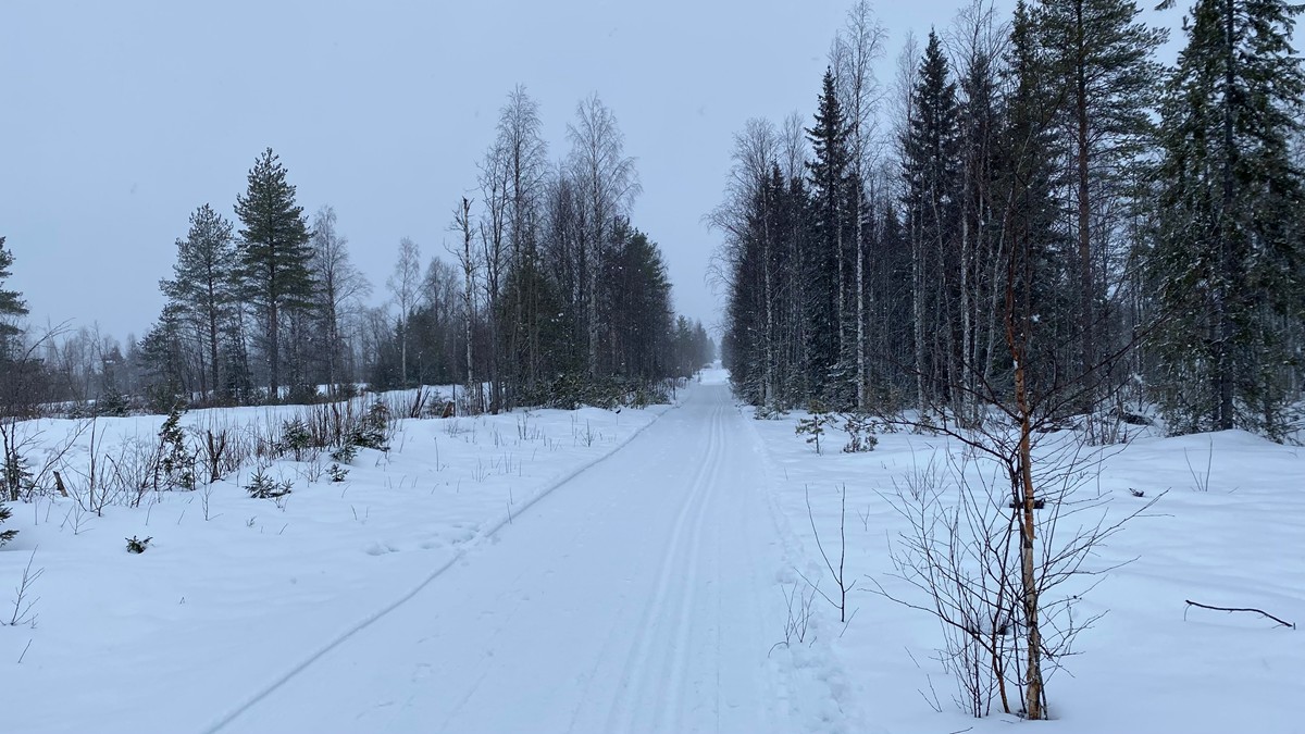 Finnland 2025