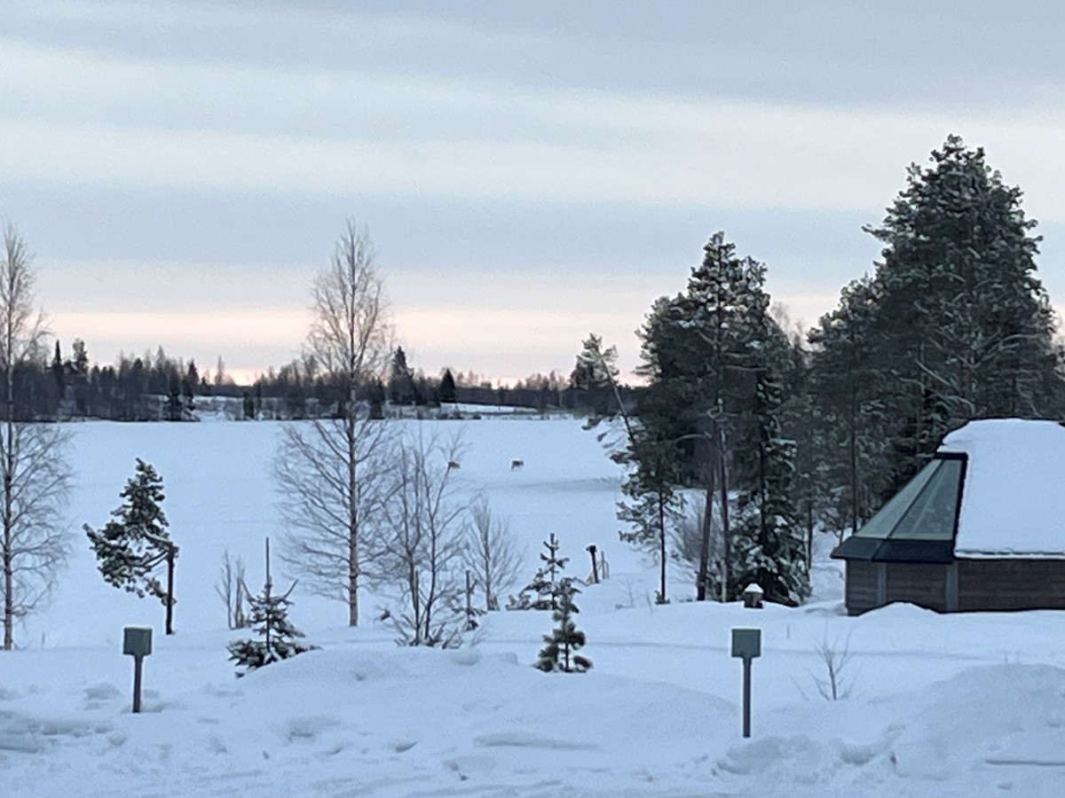 Finnland 2025