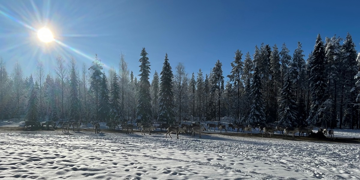 Finnland 2025