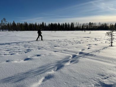7_Tag_Schnee02