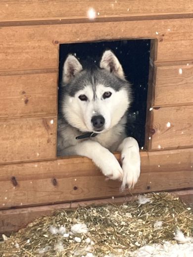 2_Tag_Lodge10