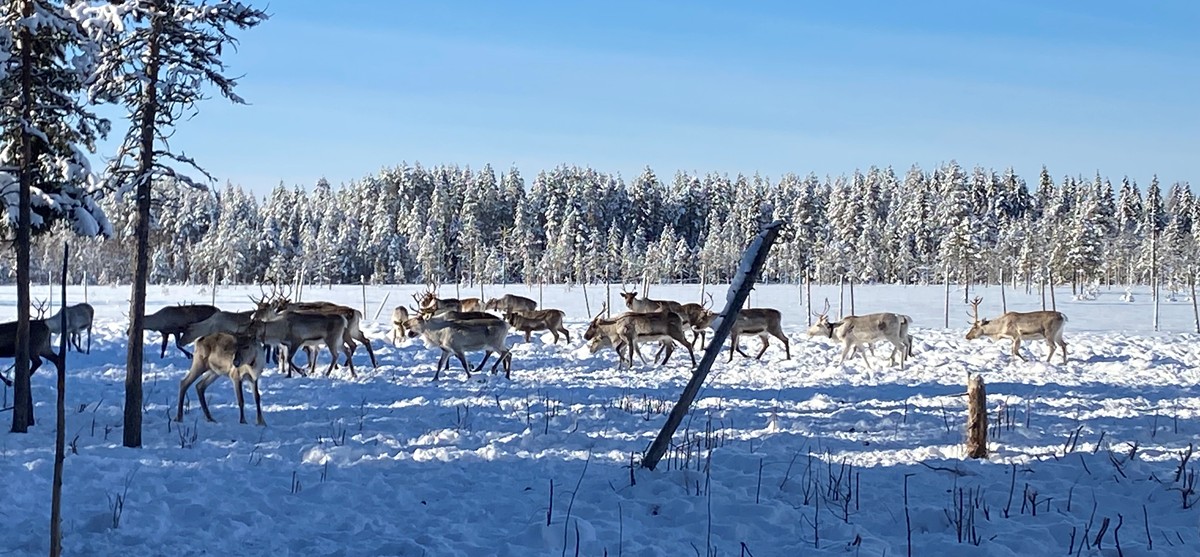 Finnland 2025