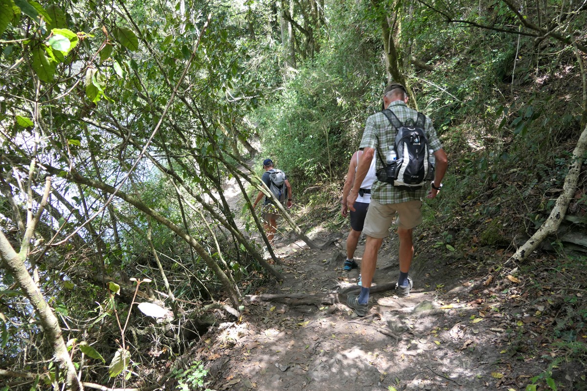 11 Tag Trail08