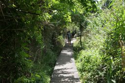 11 Tag Trail04a