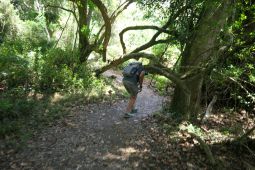 11 Tag Trail09