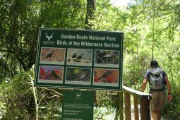 11 Tag Trail11