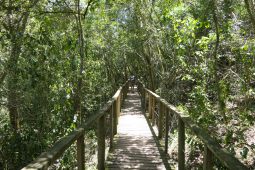 11 Tag Trail12