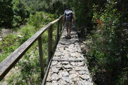 11 Tag Trail13