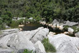 11 Tag Trail16