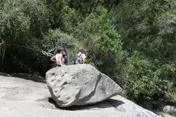 11 Tag Trail17