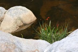 11 Tag Trail18